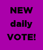 rtv New daily Vote Example